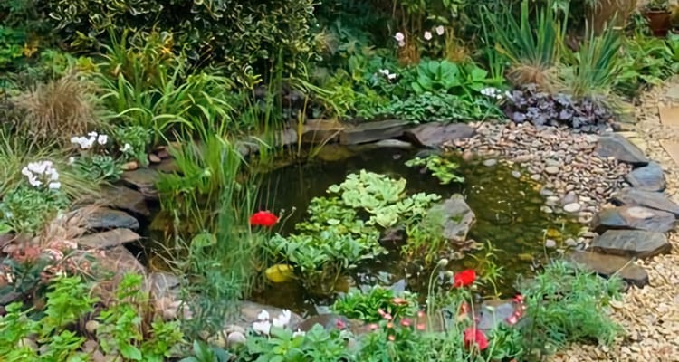 Creating A Small Wildlife Pond, How To Make A Small Garden Pond Uk