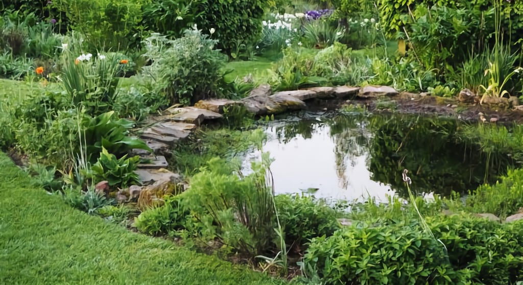 Garden pond by Terraqua